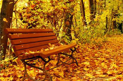 超聲經顱多普勒血流分析儀